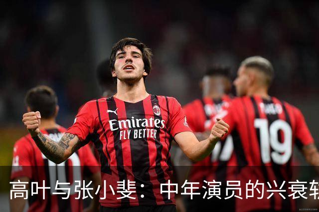 高叶与张小斐：中年演员的兴衰轨迹分析